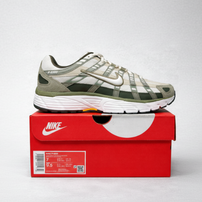 Nike p-6000's